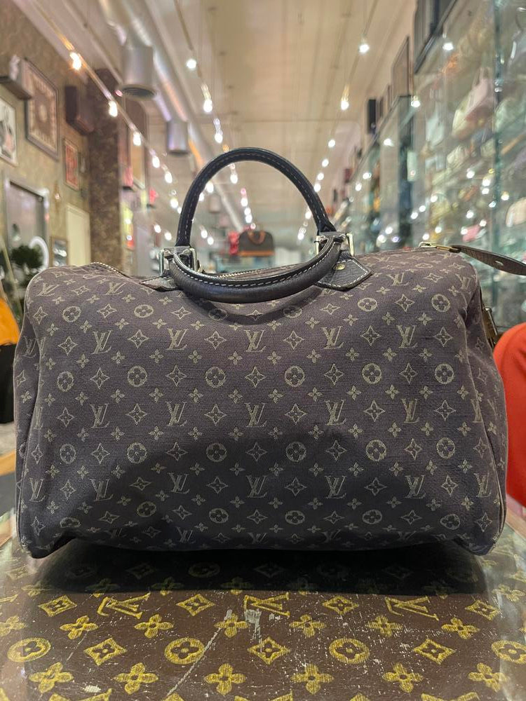 Louis Vuitton Monogram Mini Lin Speedy 30