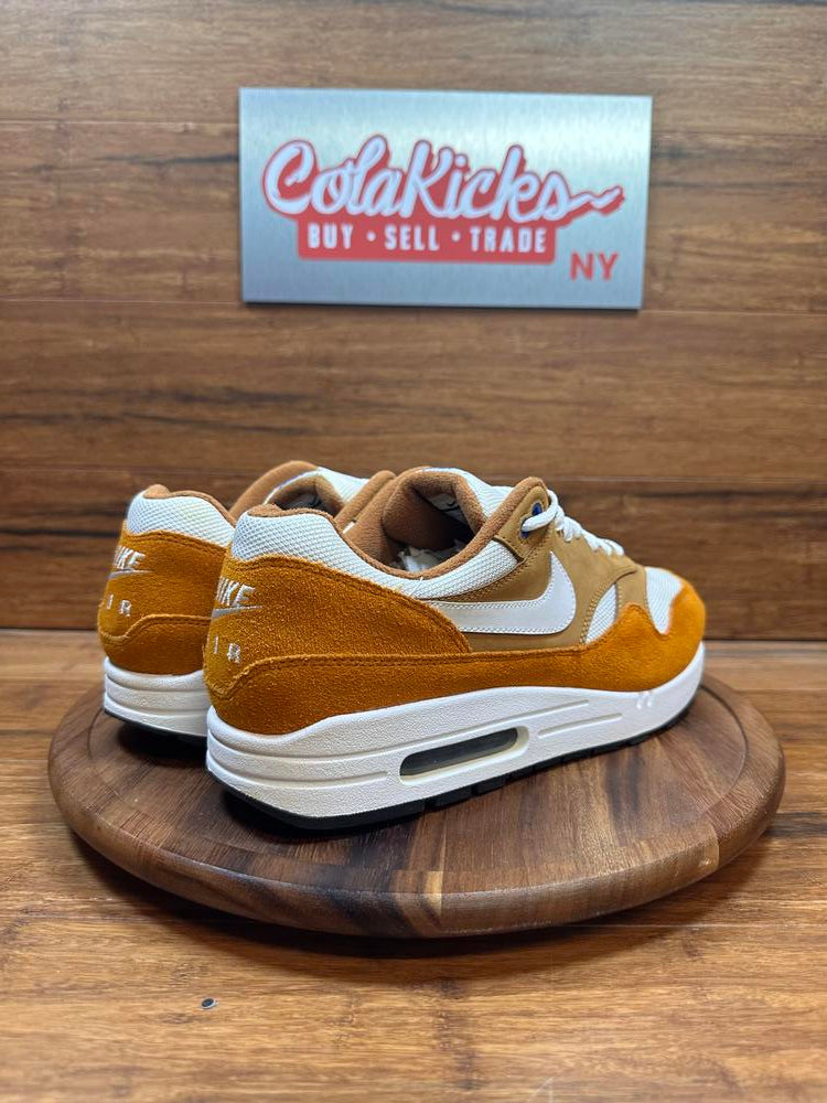 Nike Air Max 1 Curry (2018)