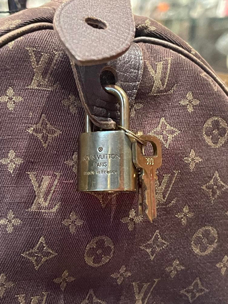 Louis Vuitton Monogram Mini Lin Speedy 30